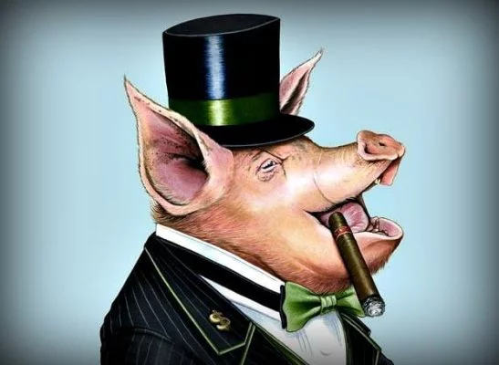 rich pig Image public domain