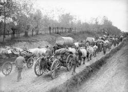 Serbian retreat WWI