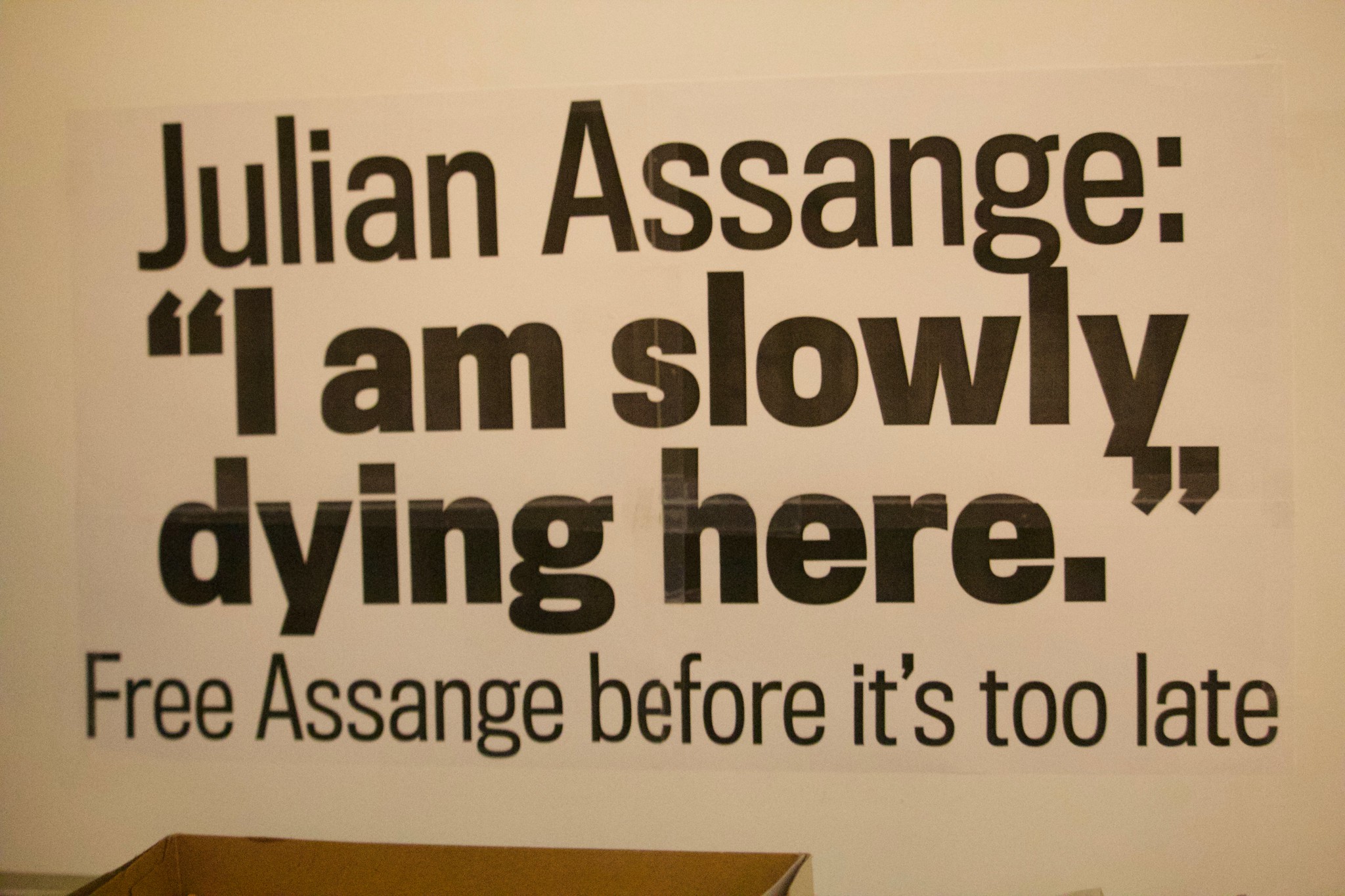 Assange dying Image Pamela Drew Flickr