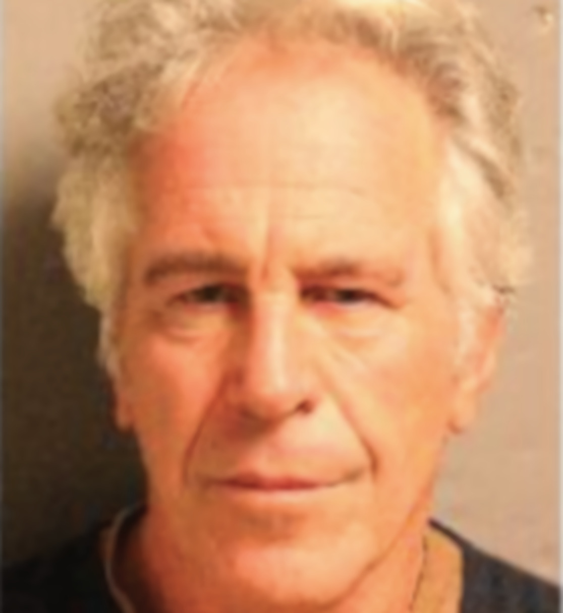 Epstein Mugshot2x Image public domain