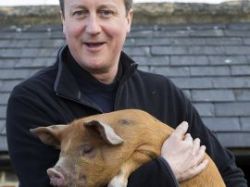 Cameronpiggate