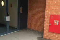 anti-homeless-spikes