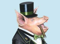 rich-pig