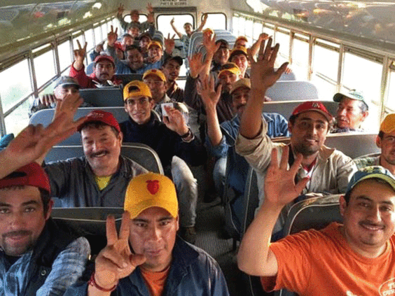 Canada migrant workers 2 Image Hi Berry Farm