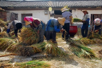 the Rural Development Institute's Social Issues Research Center at the Chinese Academy of Social Sciences gave explicit warnings to the Chinese Communist Party leadership of a revolutionary crisis developing in the countryside and new proletarian zones in the interior provinces. Photo by stridli on Flickr.