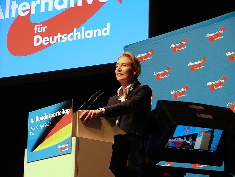 Alice Weidel leader of the AfD Image Olaf Kosinsky