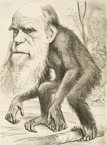 Darwin