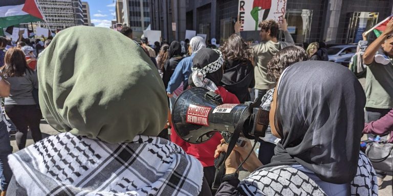 Megaphone Image Socialist Revolution