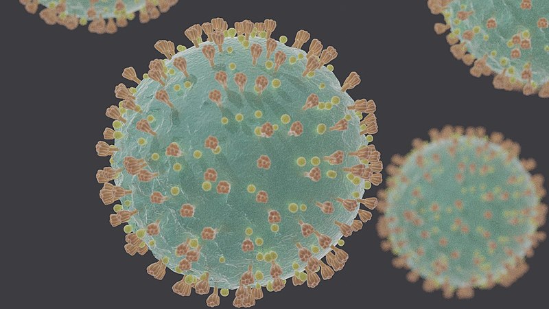 Coronavirus SARS CoV 2 Image Felipe Esquivel Reed