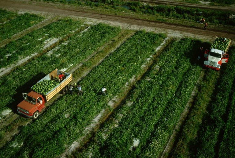 agriculture Image tpmartins Flickr