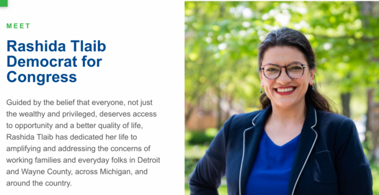 Rashida Tlaib Democratic Party Candidate Image Rashida Tlaib for Congress