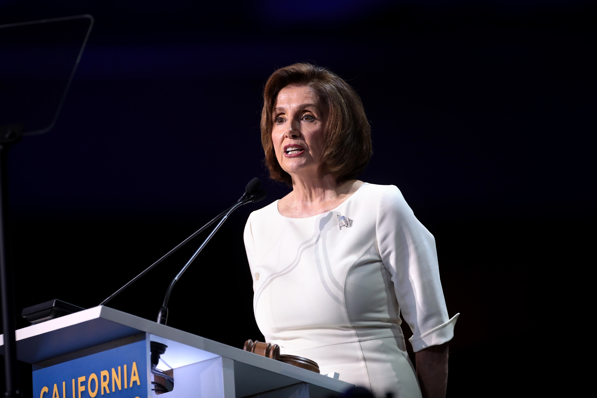 Pelosi Image Flickr Gage Skidmore