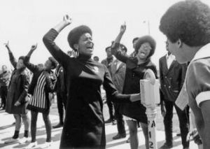 black-panthers-1